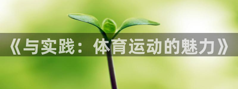 J9官网下载招商电话是多少啊:《与实践:体育运动的魅力》