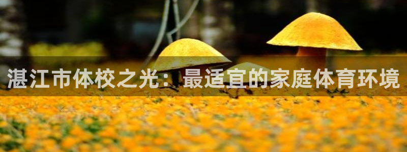 J9官网下载平台注册流程图:湛江市体校之光:最适宜的家庭体育