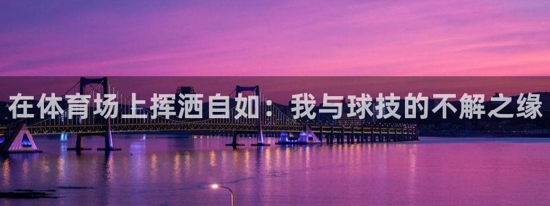 J9官网下载开户:在体育场上挥洒自如:我与球技的不解之缘