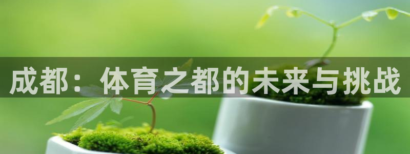 J9官网下载招商电话号码查询:成都:体育之都的未来与挑战